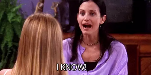 מוניקה גלר חברים