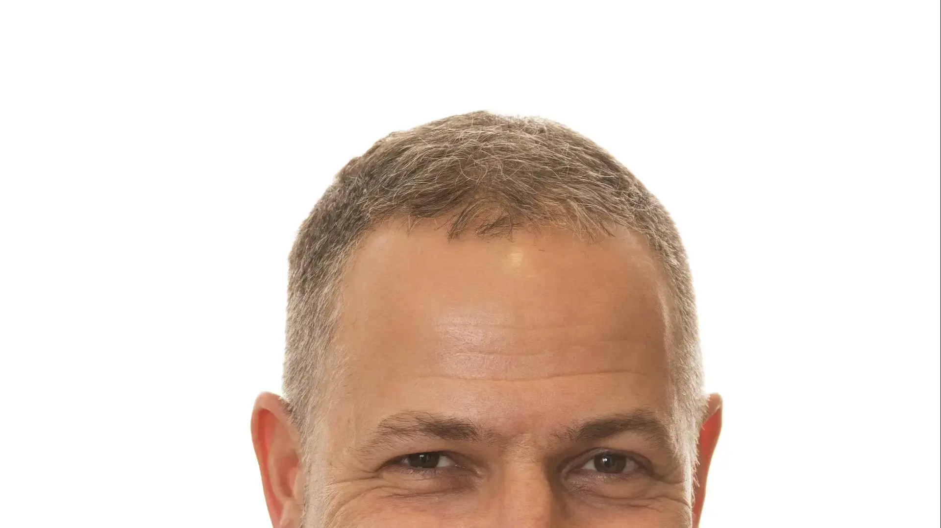 סנפיר ארז 1