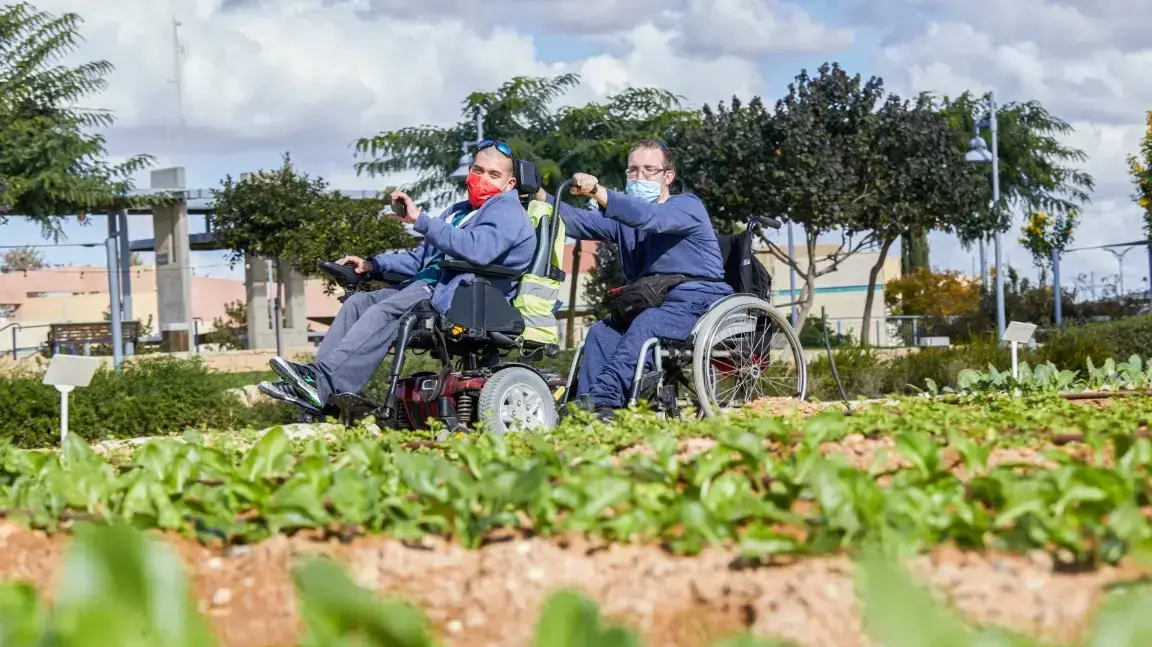 החווה הקלאית המונגשת הראשונה שהוקמה בישראל