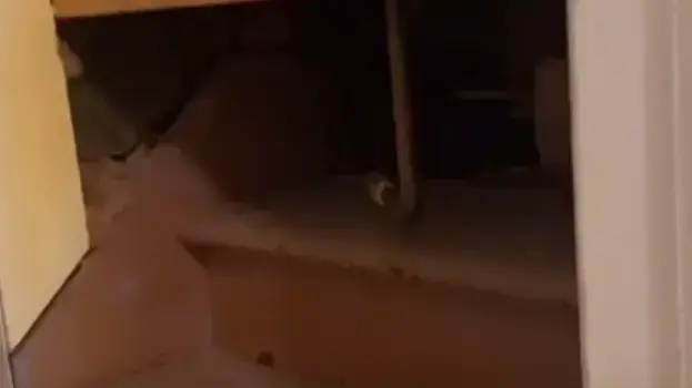 גילתה מדרגות סודיות חבויות בבית גילתה מדרגות סודיות חבויות בבית
