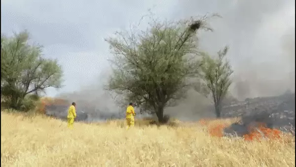 חיוואי ניצל משריפה בגבעות עומר