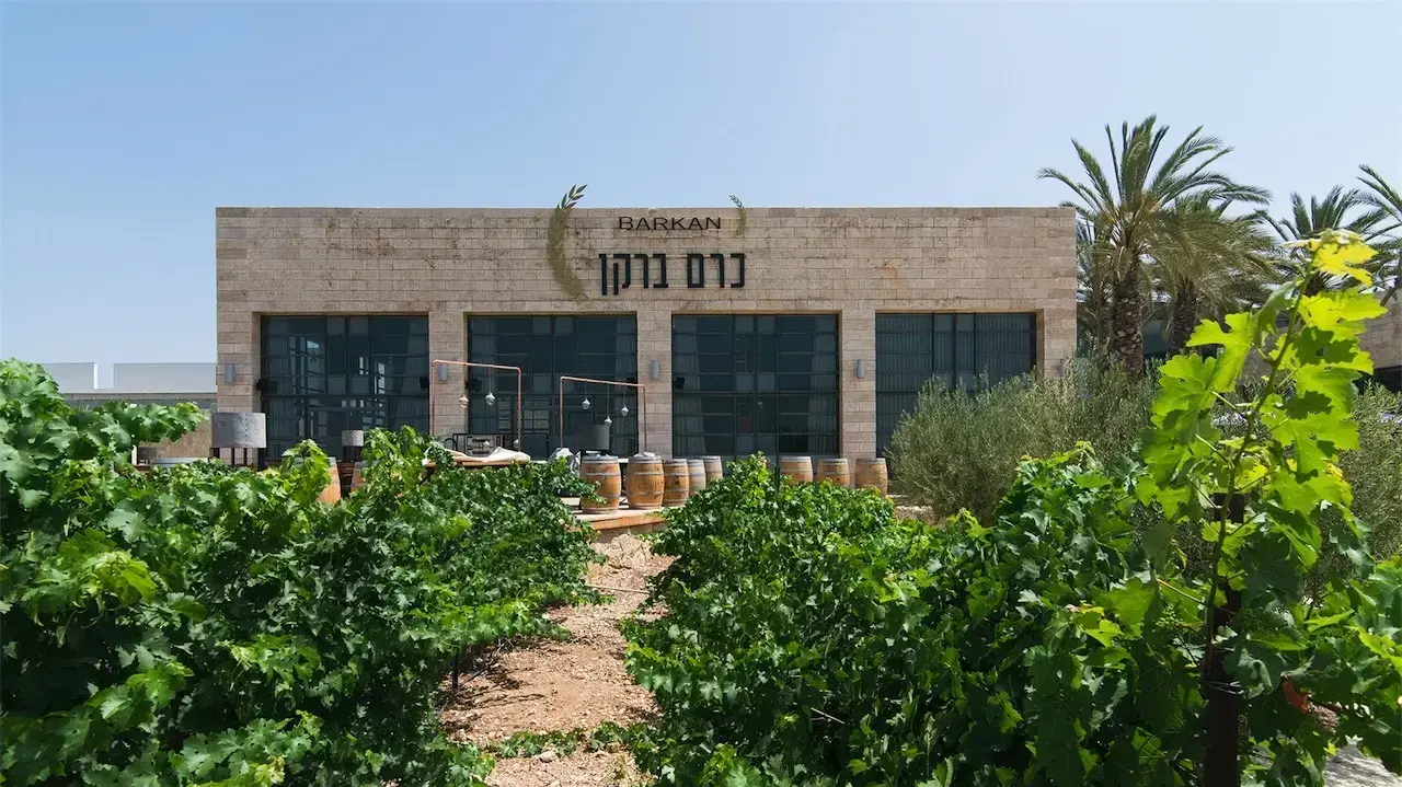 יקב ברקן