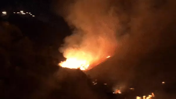 חשש להצתה בשמורת הטבע נחל פרת קובי הלפגוט