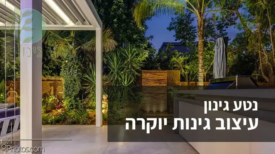 נטע גינון