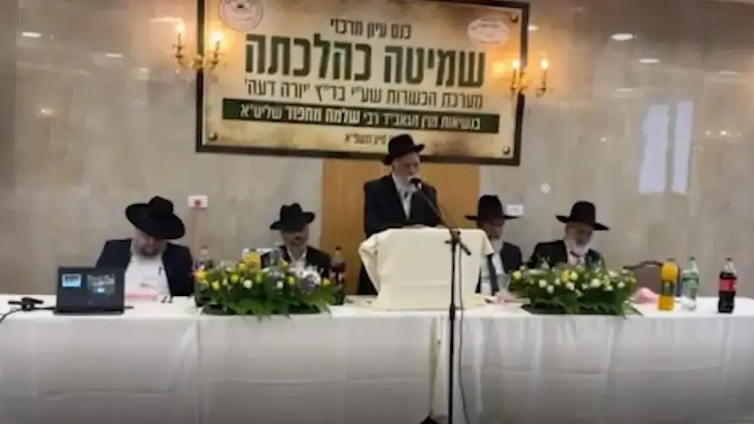 שנת שמיטה