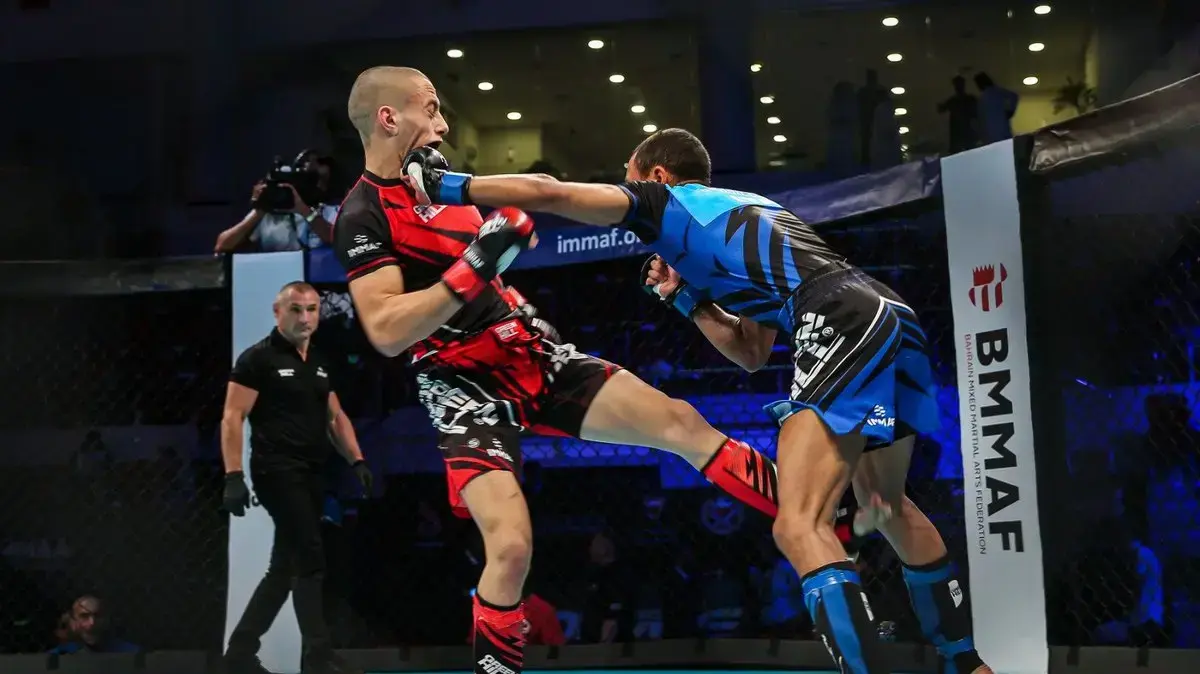 MMA ישראל MMA ישראל