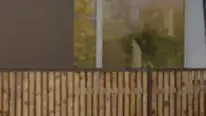 המחליפים
