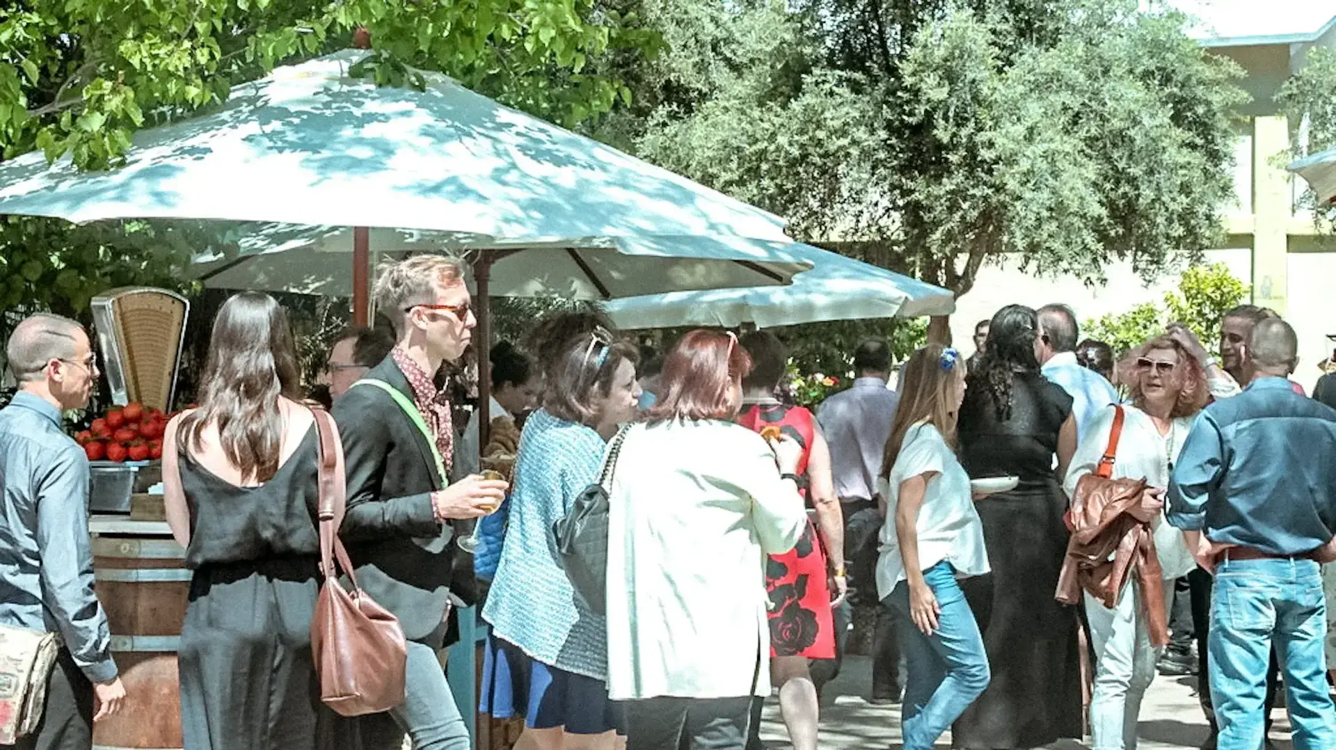 שוק ביקב עמק האלה