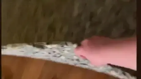 תגלית מצמררת מתחת לכיסוי הרצפה בבית החדש