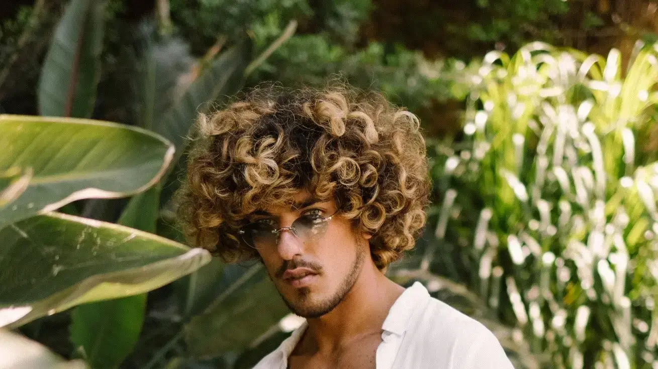 תומר למפורט בוקסר