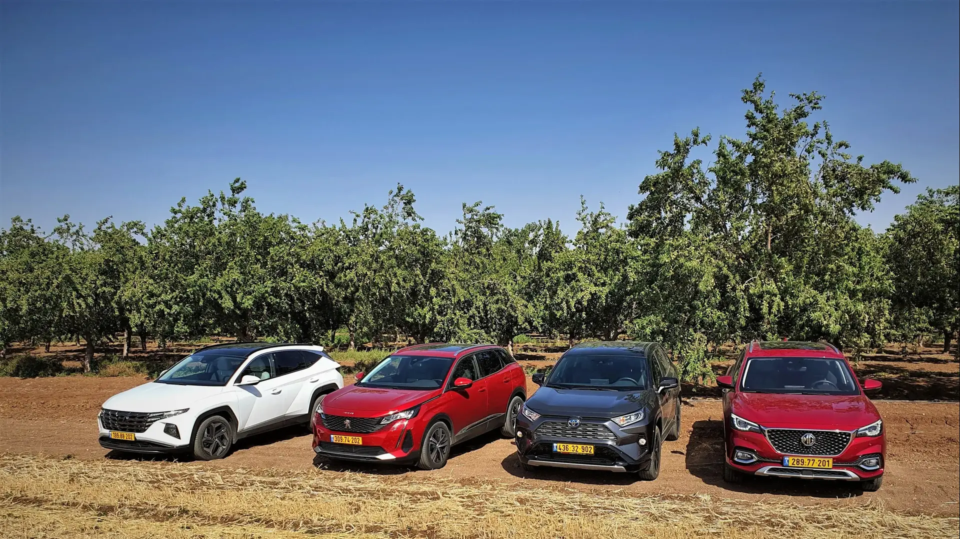 השוואתי: פיג'ו 3008, יונדאי טוסון, MG EHS, ראב 4