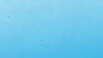 באנר חופשה בכחול-לבן
