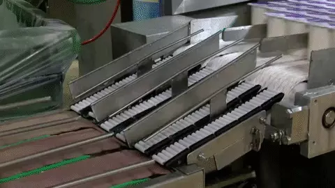 סיור במפעל מילקי של שטראוס