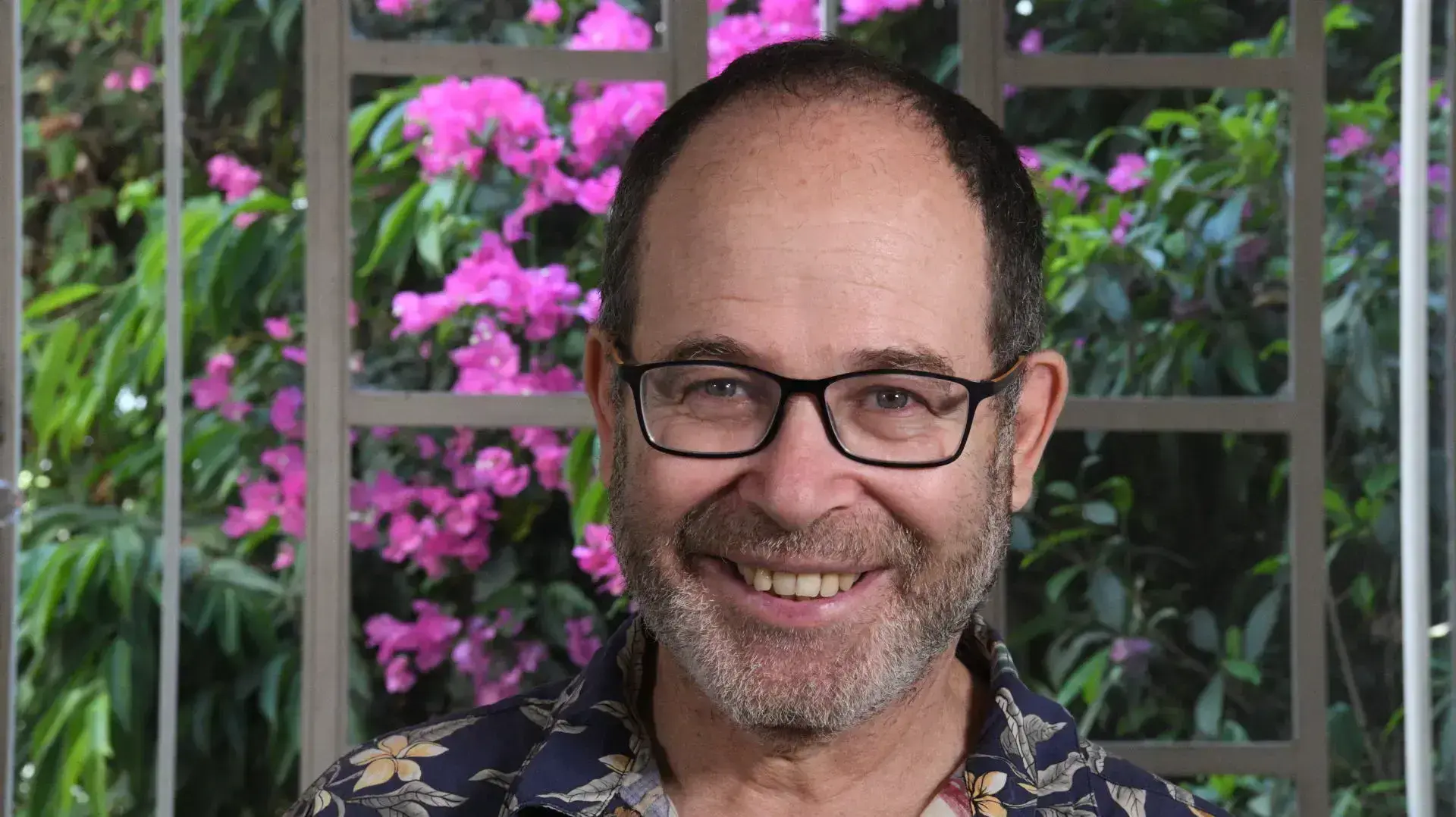 הקומיקסאי והאמן זאב אנגלמאיר