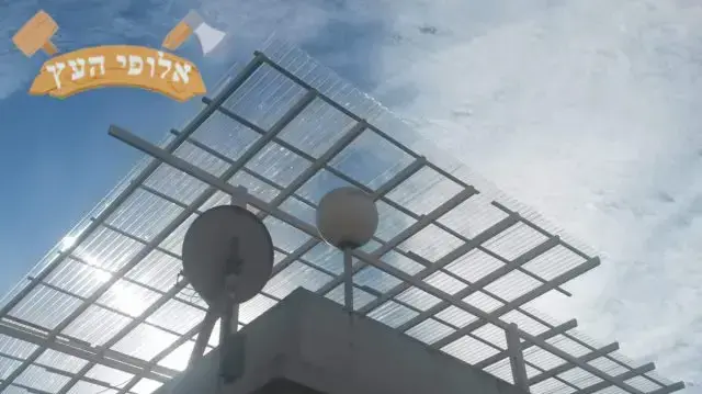 אלופי העץ
