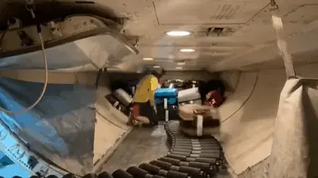 ככה מעמיסים מזוודות לתוך תא מטען במטוס