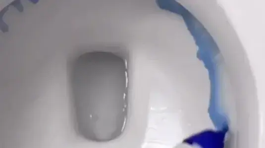 הדרך הנכונה להשתמש בנוזל לניקוי אסלה