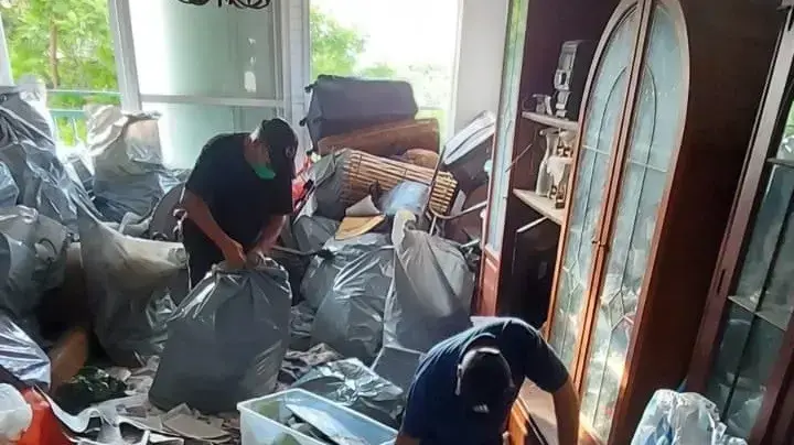 אגרנות כפייתית
