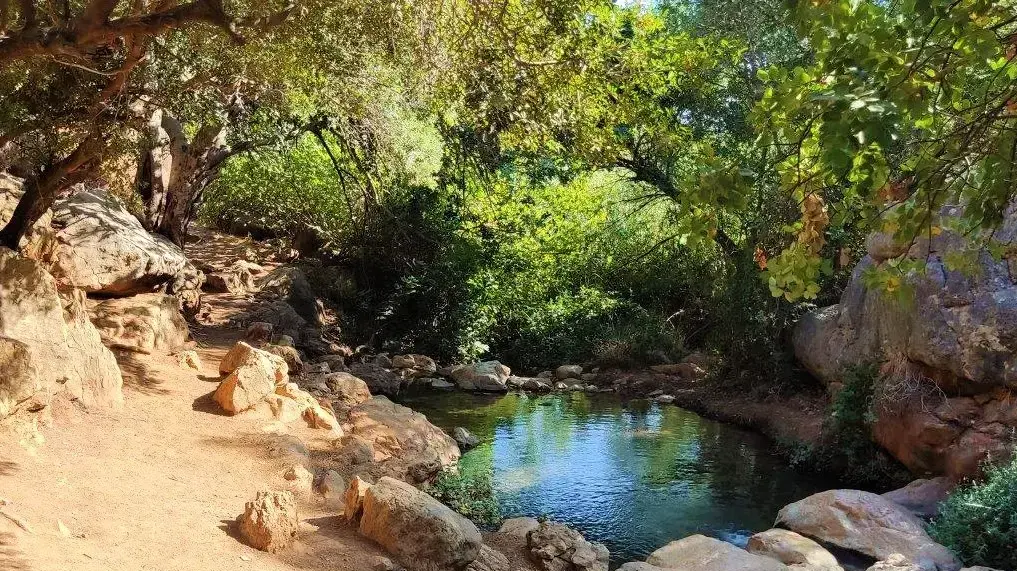 נחל צלמון