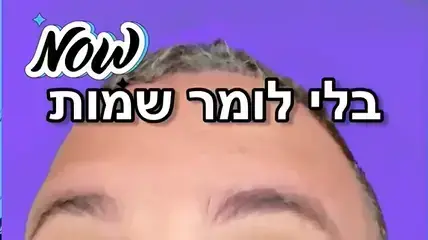 כותרות החג