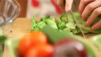 גיף של אישה חותכת סלט גיף של אישה חותכת סלט