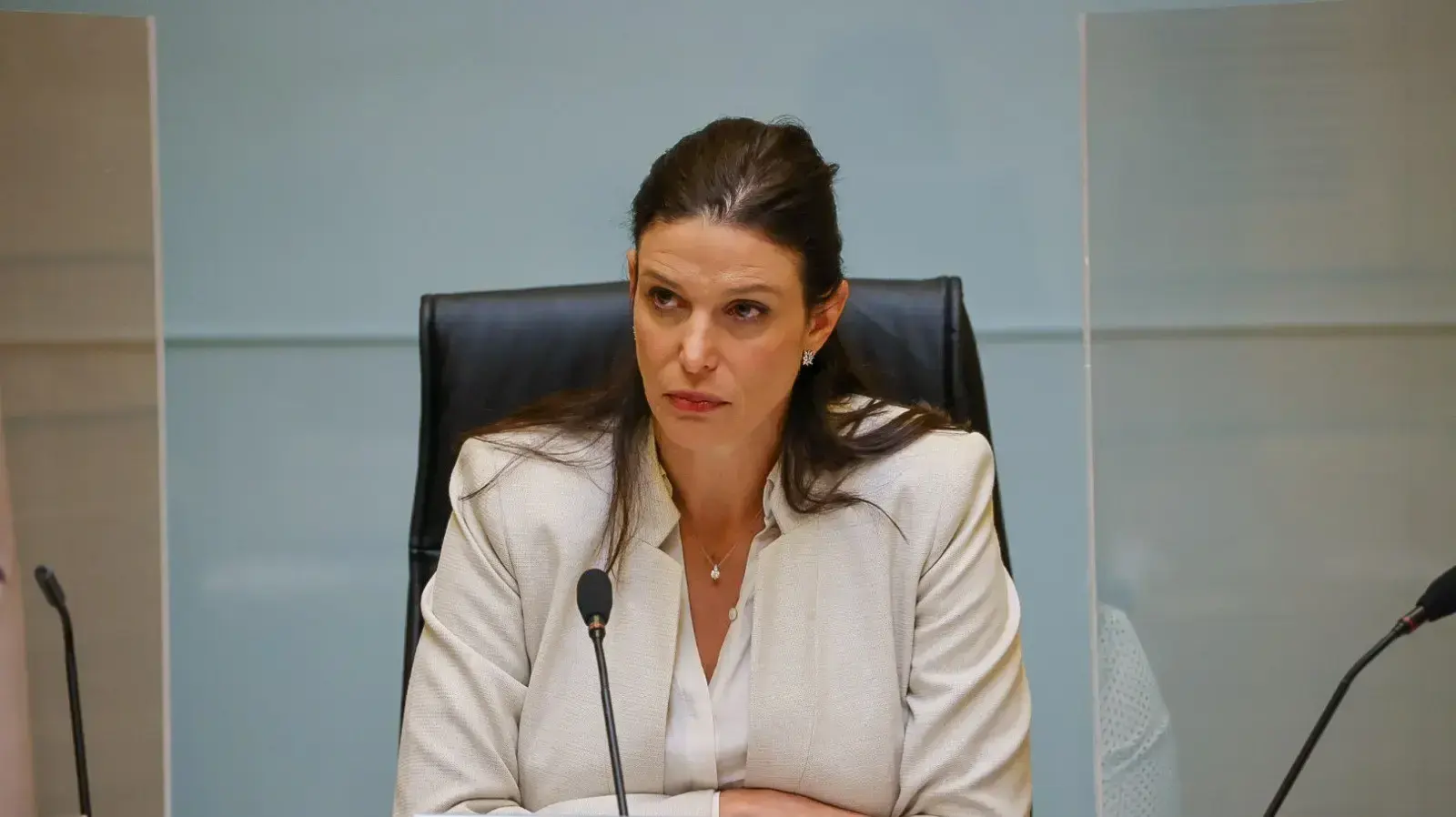 ח"כ אפרת רייטן, יו"ר ועדת העבודה והרווחה