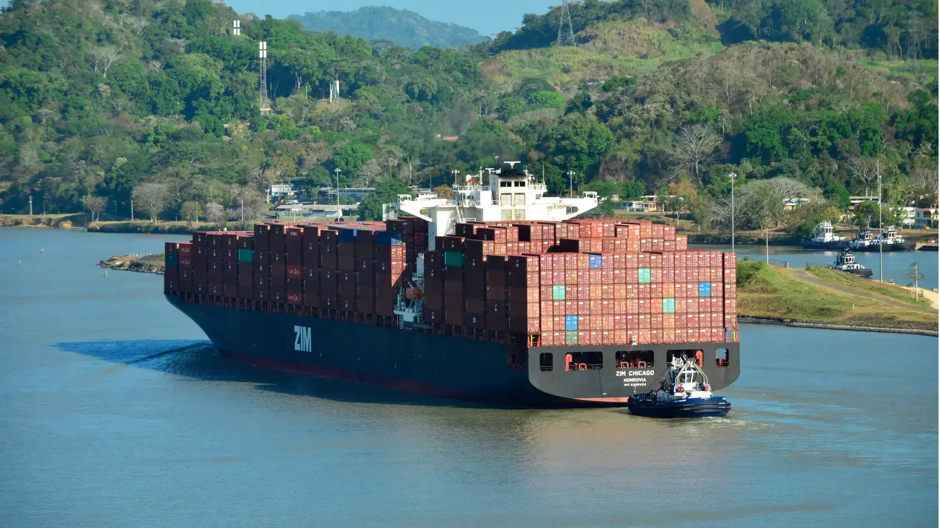 צים אחריות חברתית צים אחריות חברתית