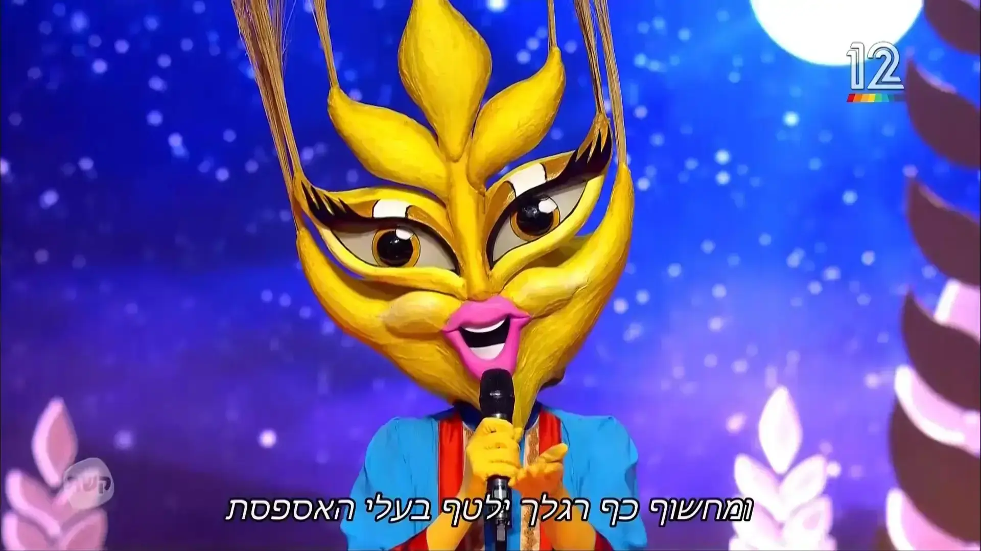 הזמר במסכה במסיכה