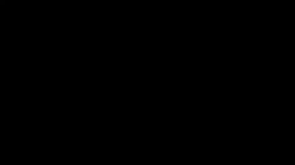 משלחת ישראל באקרובטיקה