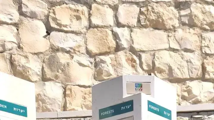 מיכאל בן אבן ואפי כהן