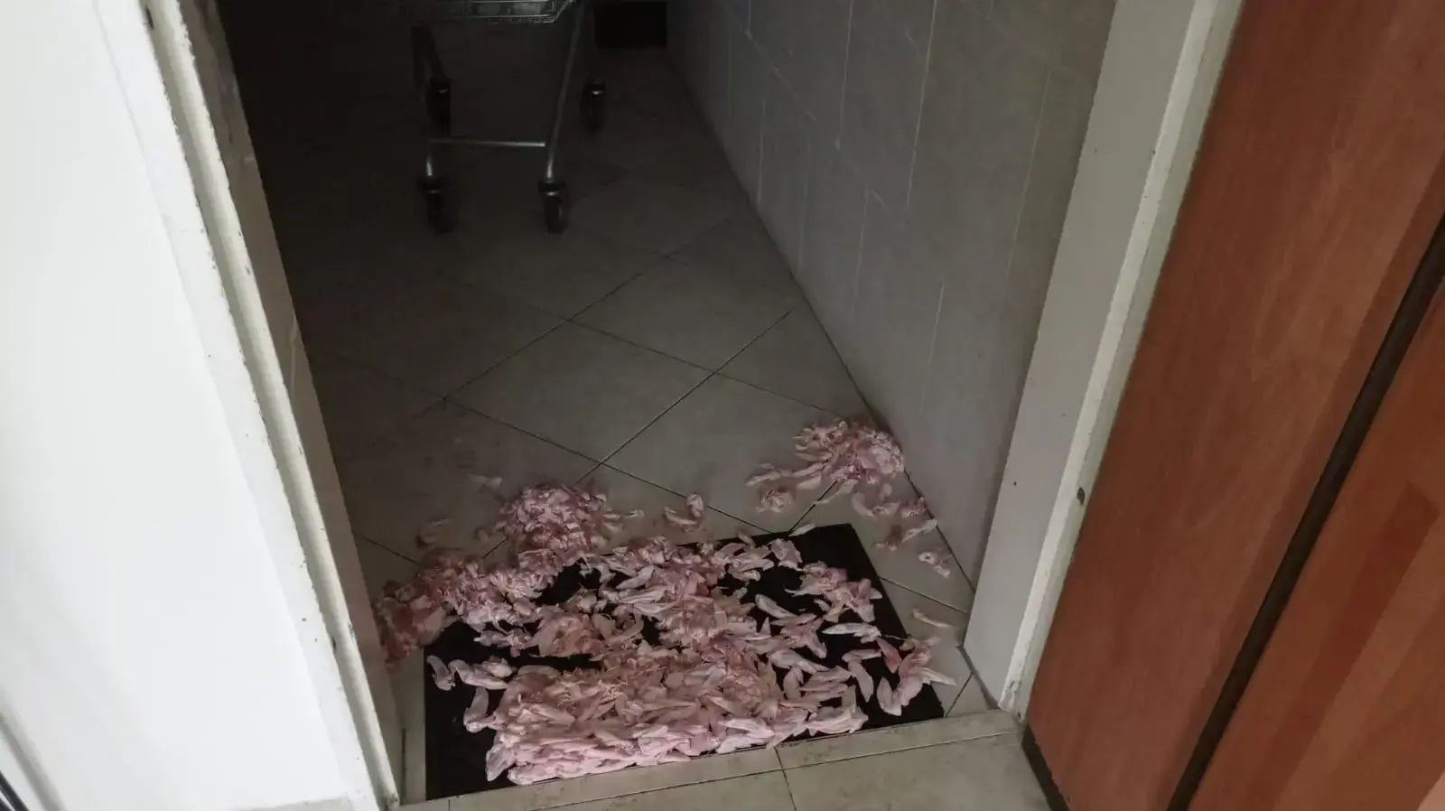 חתיכות עוף שזרקו אוהדי הפועל תל אביב בביתה דוברת המועדון של אודליה פרידמן