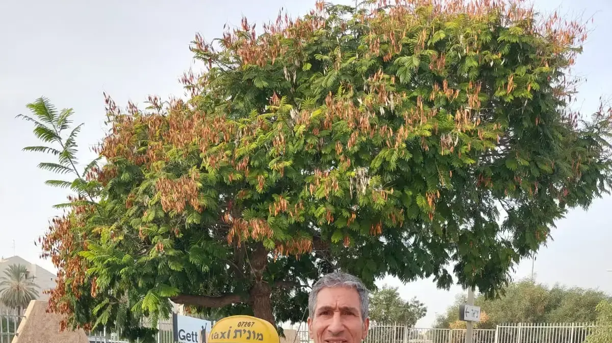 דוד לביא