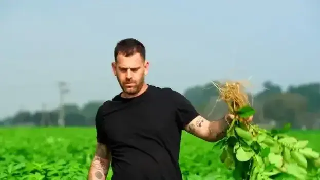 עומר מילר תפוצ'יפס