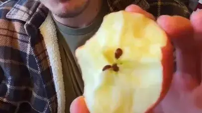 שיטה משונה לאכילת תפוח