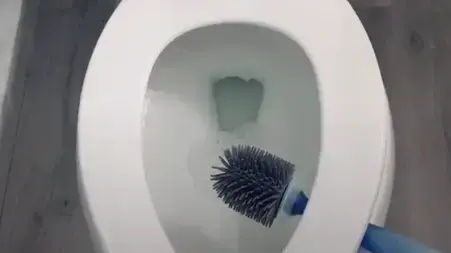 ניקוי אסלת השירותים