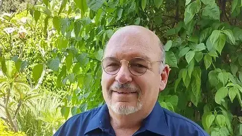 דוד סיני, יו"ר אור ירוק