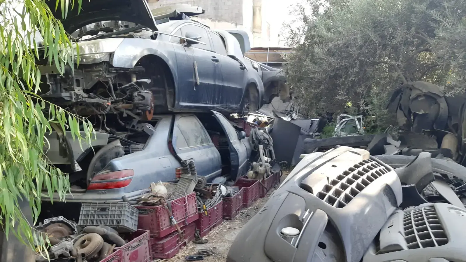סיכום 2021 גניבות רכב פוינטר