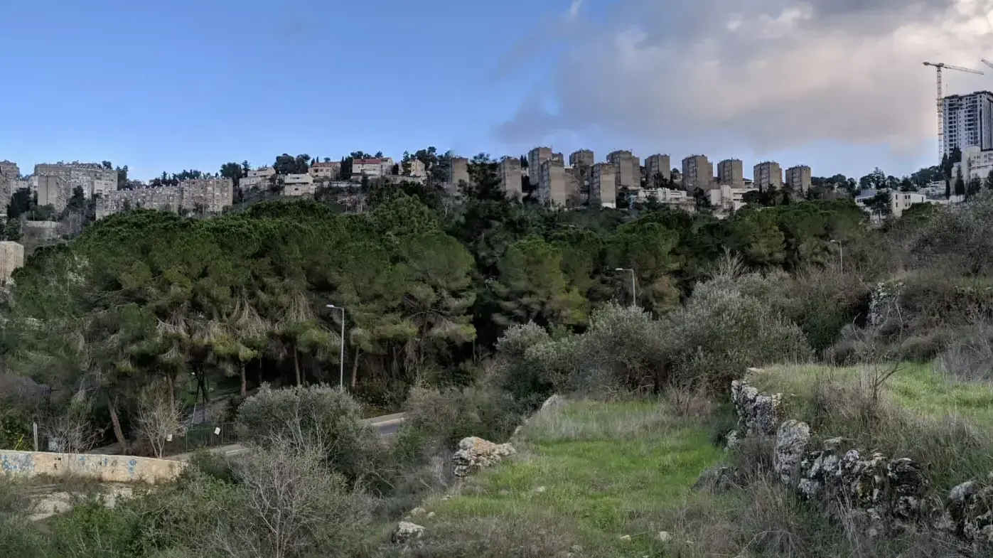 כרמית