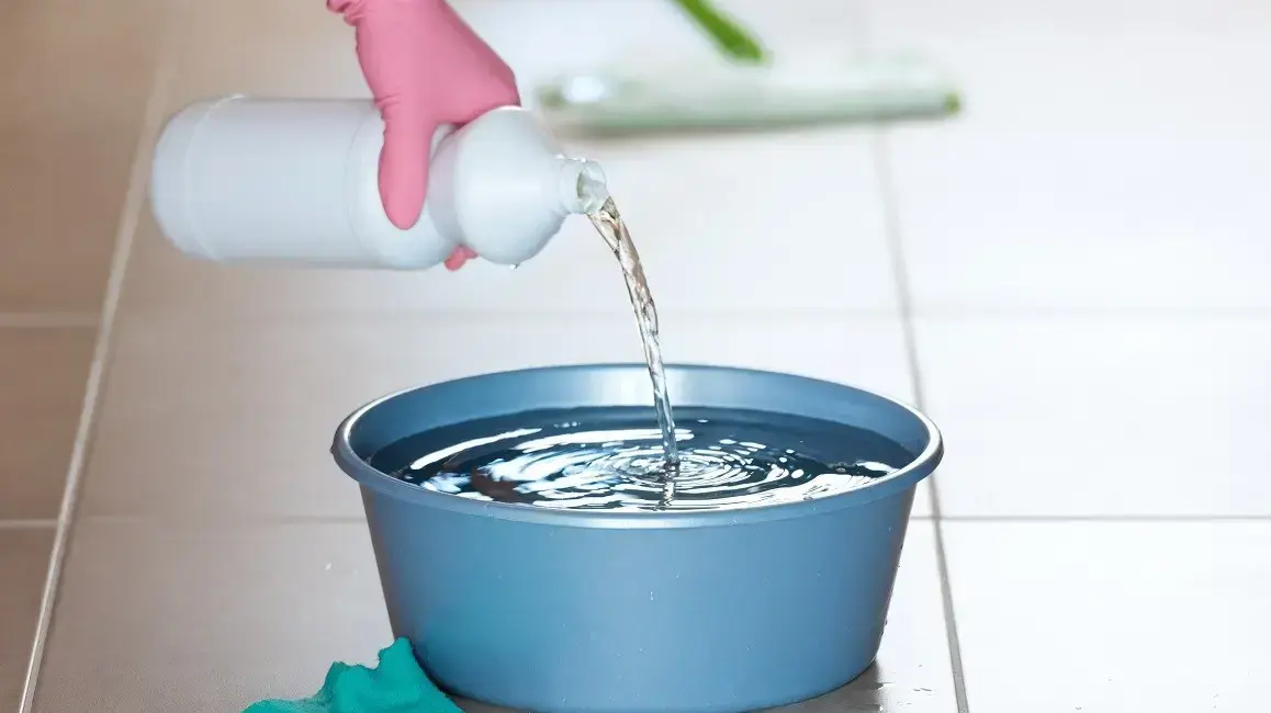 ניקוי עם אקונומיקה