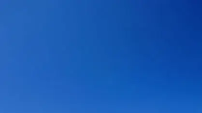 משתזפות על החוף