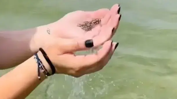 הרימה יצור ימי קטלני
