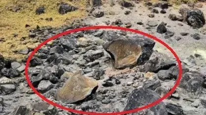 סלע יפני נחצה לשניים ו"שד כלוא שוחרר ממנו"