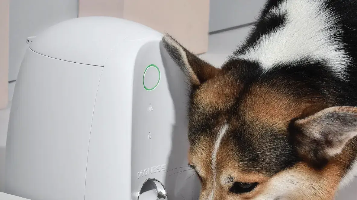 DOGNESS Smart Feed