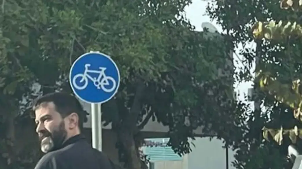 יהודה לוי