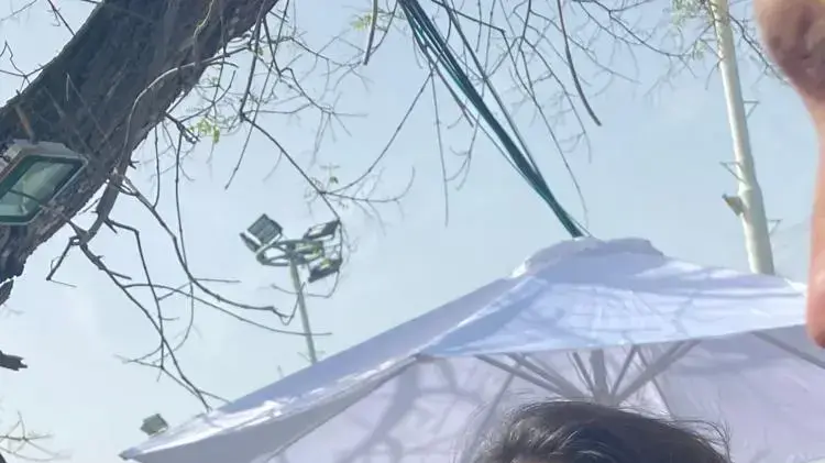 ליה תמר שון