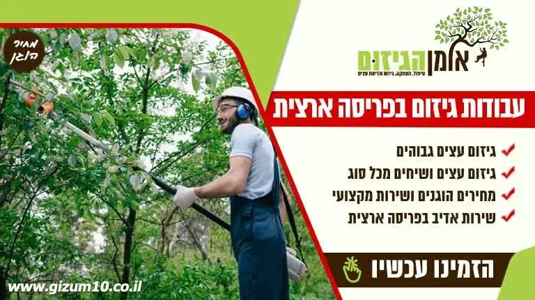 גיזום כריתת עצים