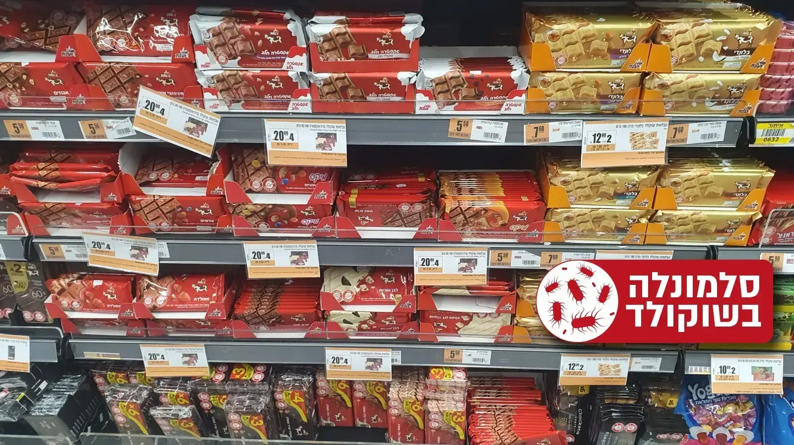 סלמונלה בשוקלד