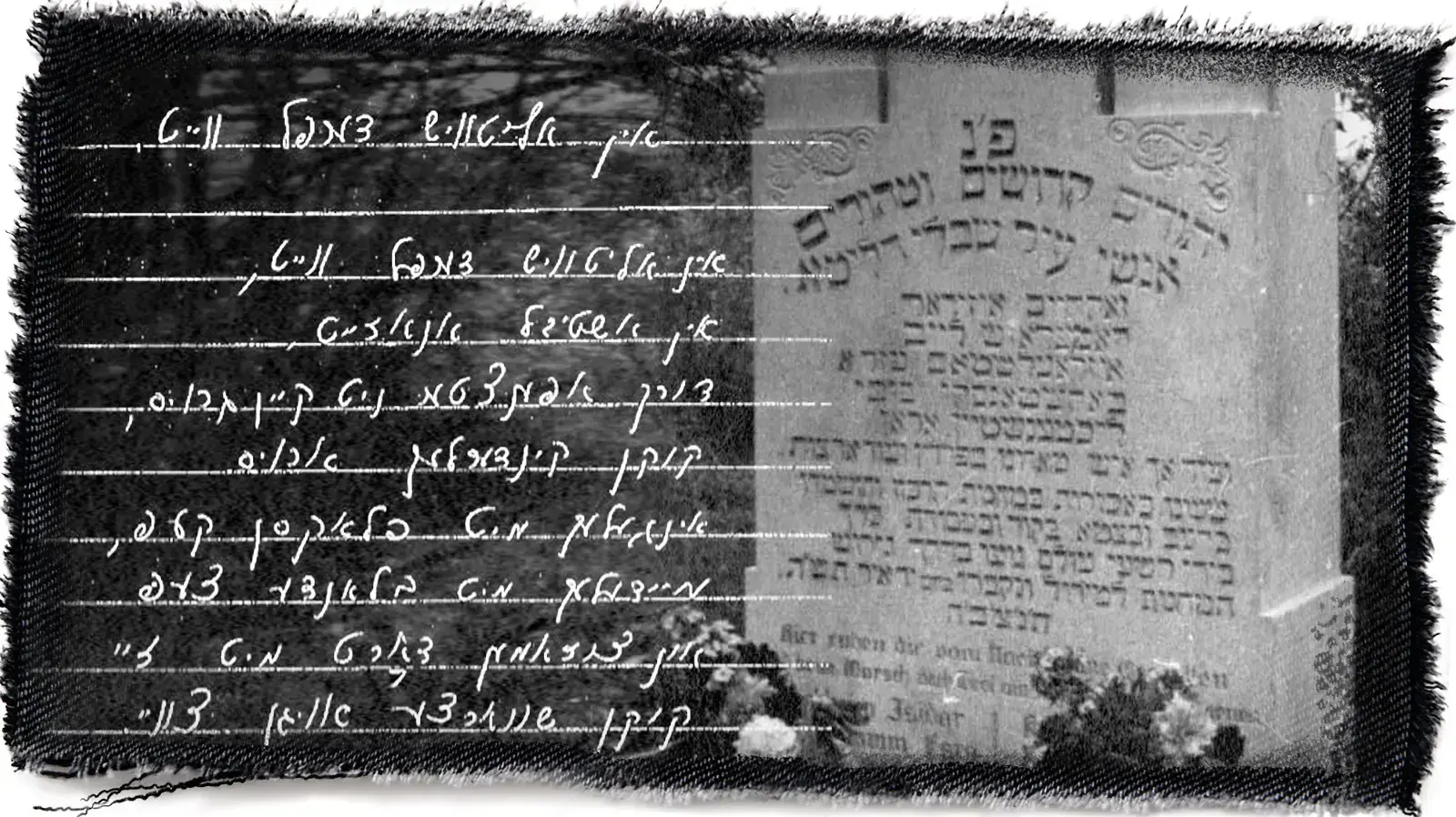גטו שאוולי