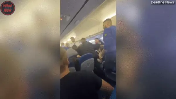 איזה מכות, יא וואראדי! איזה מכות, יא וואראדי!