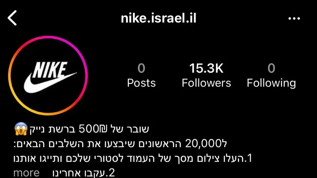 עמוד המתחזה לחברת נייקי